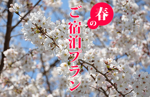 お得なご宿泊プラン。お1人3,800円より(税込み・2名様以上)