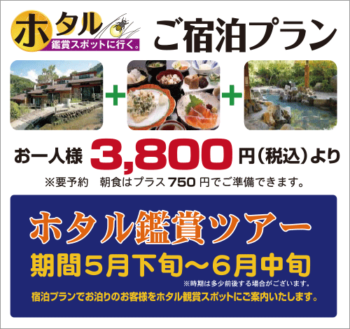 「ホタル鑑賞」ご宿泊プラン